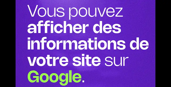 Affichage informations site web google