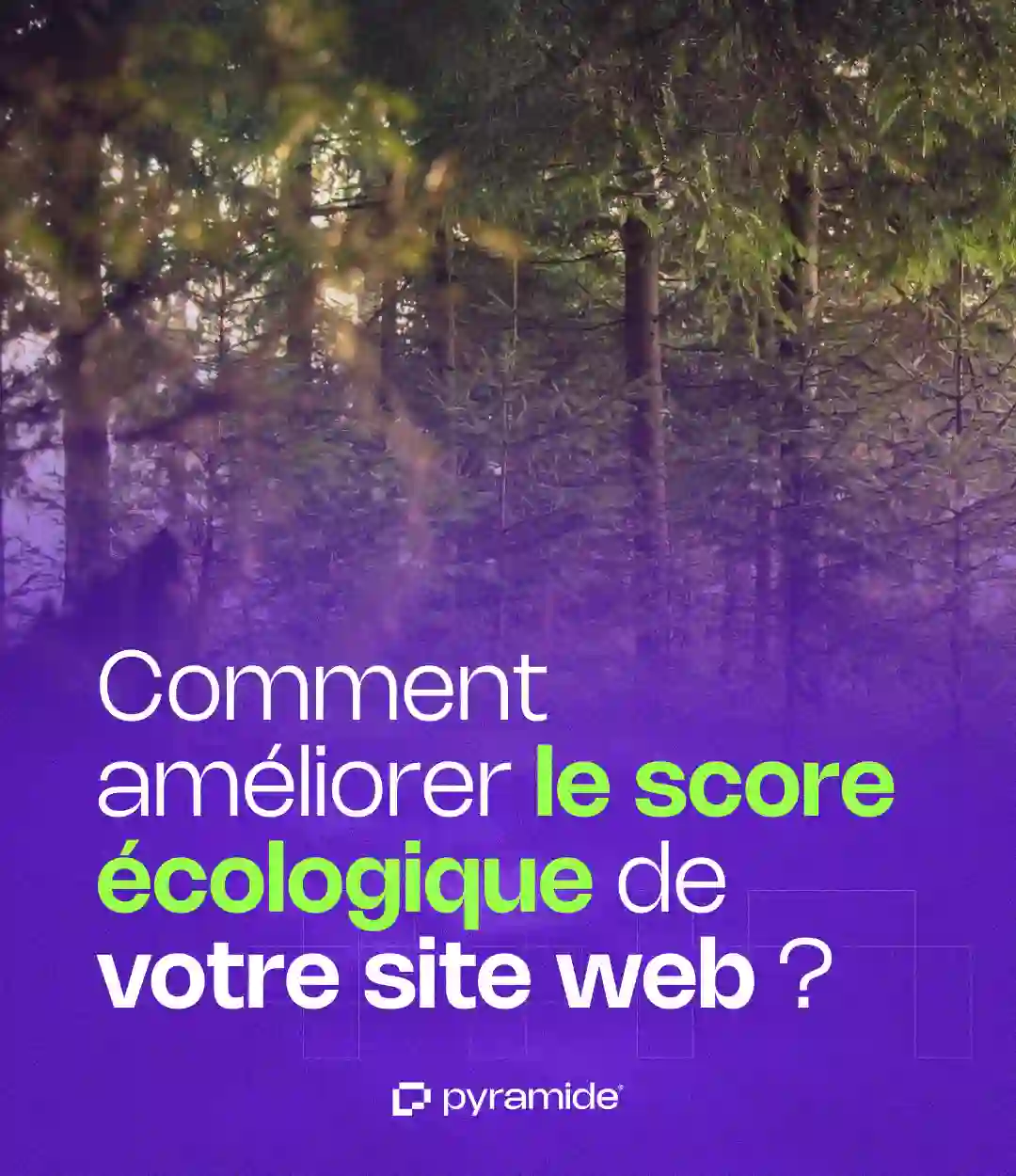 Amélioration du score écologique de votre site web