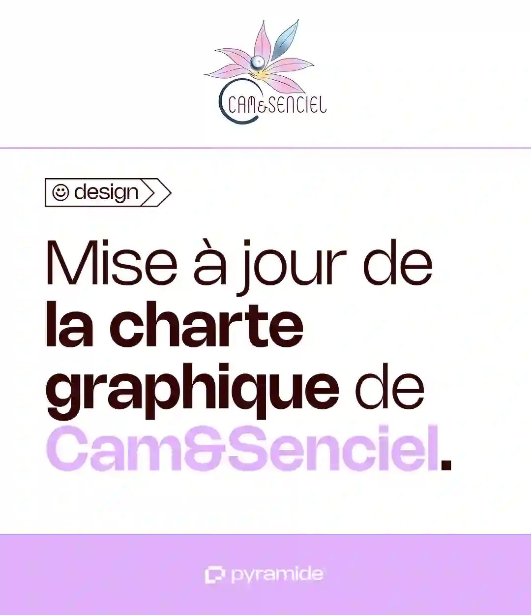 Cam&Senciel - Charte graphique