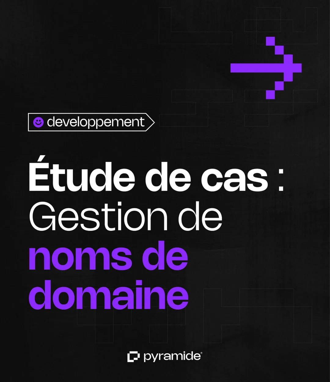 Image de l'article Étude de cas : quand plus de 100 noms de domaine deviennent ingérables Image de l'article Étude de cas : quand plus de 100 noms de domaine deviennent ingérables