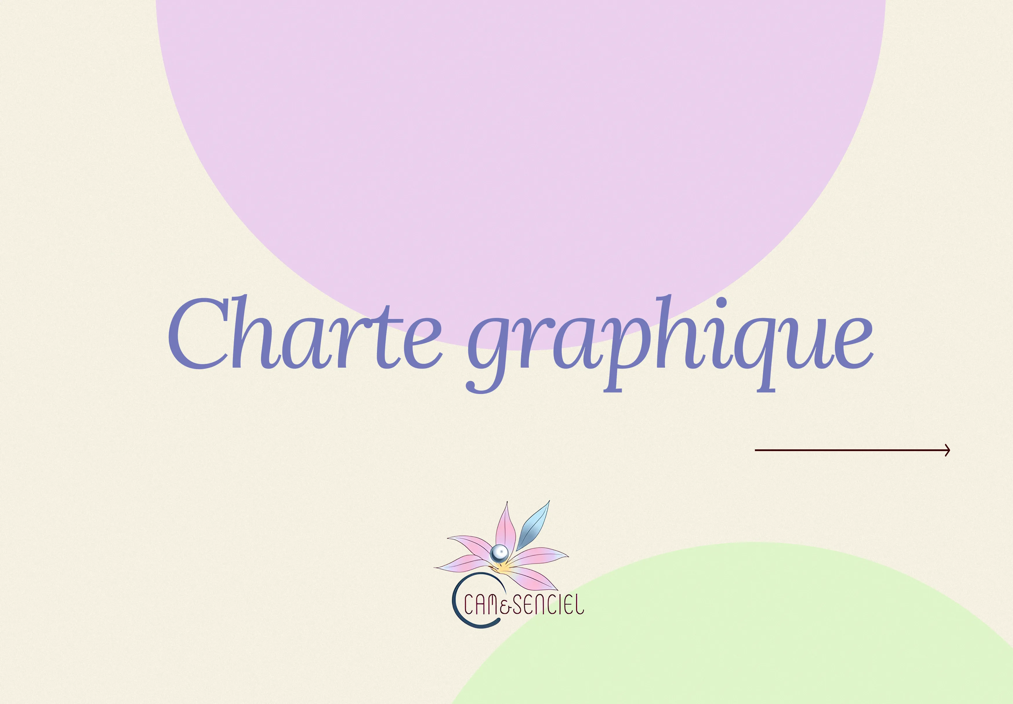 Projet Cam&Senciel - Charte graphique pour Cam&Senciel