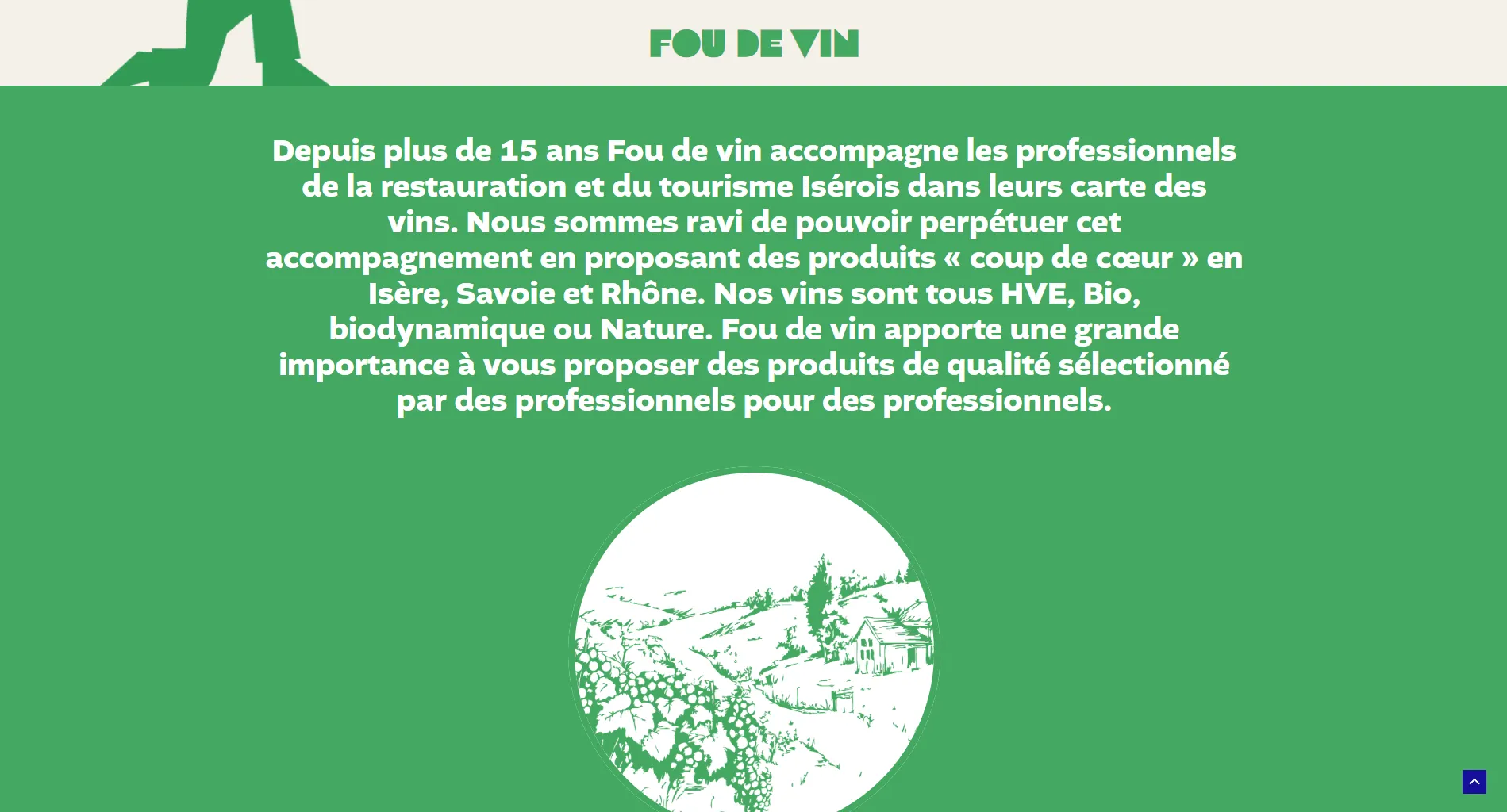 Fou de vin site 2